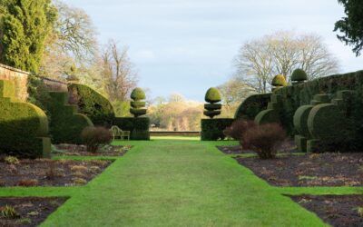 The Benefits of Professional Landscaping