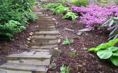 Expert Landscaping Ideas for Hillside Gardens
